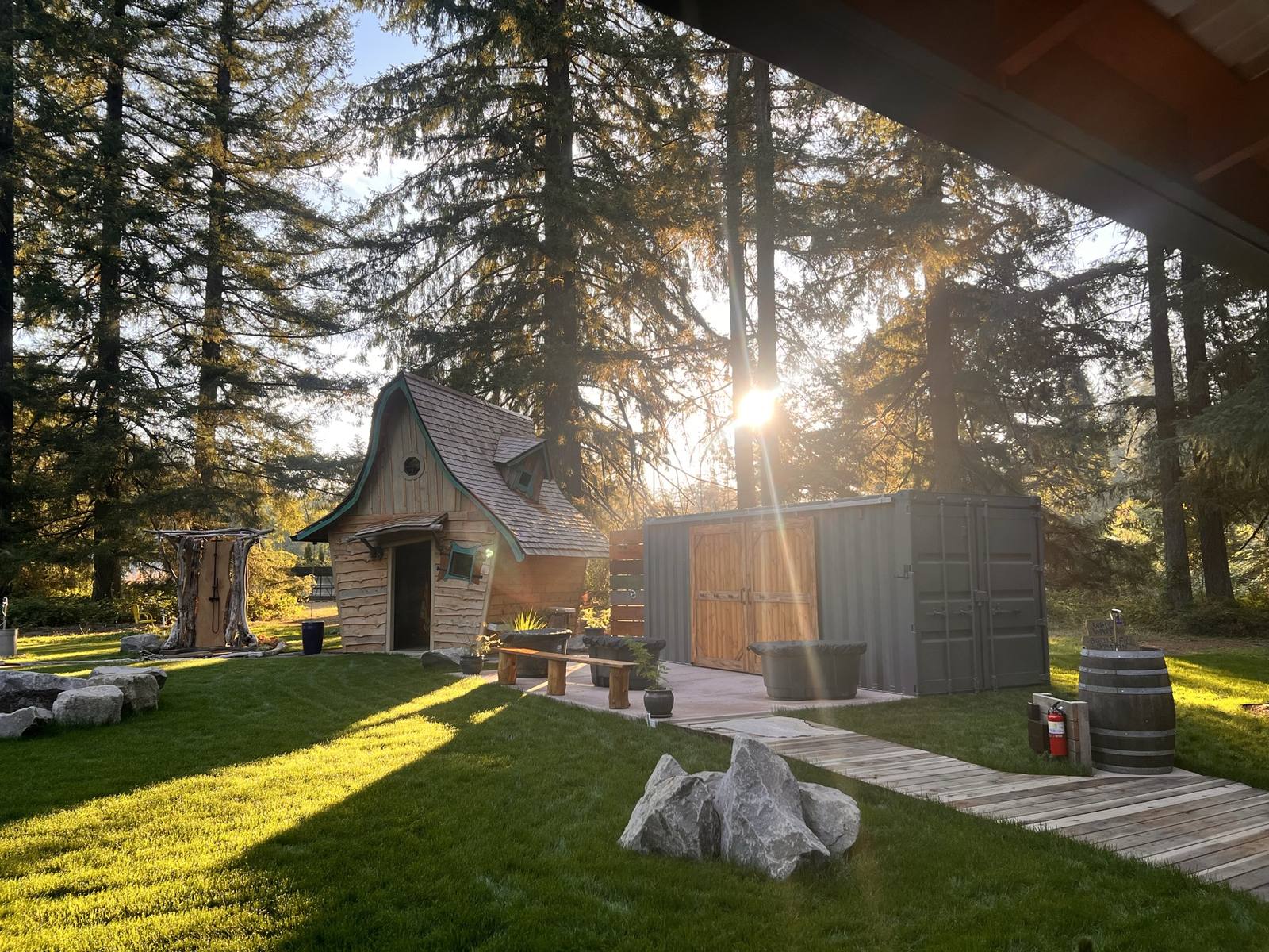 Late sun through the firs over the hand-built sauna and container sauna
